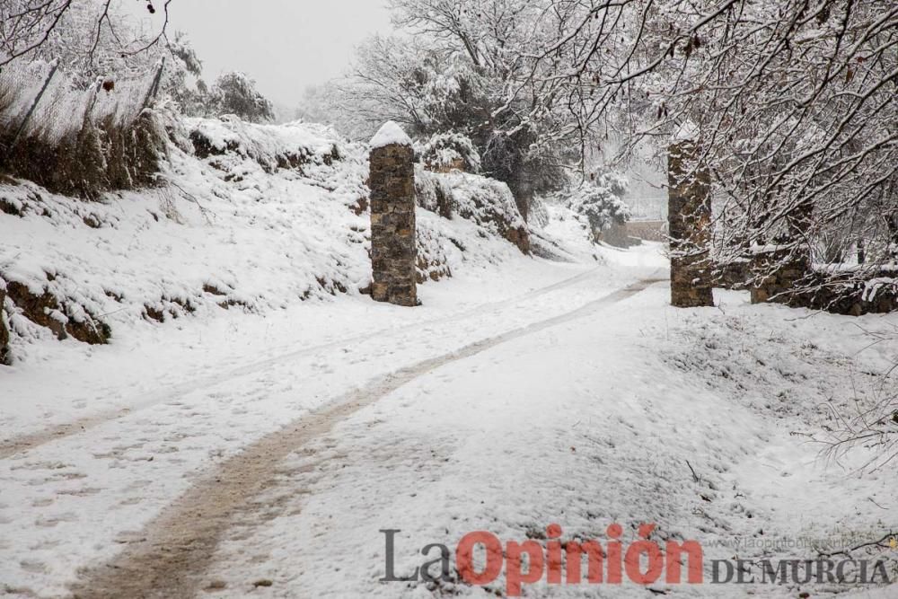 Nieve en las Fuentes del Marqués de Caravaca