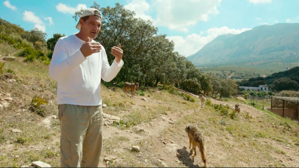 Programa "Wild Frank", de Frank de la Jungla, grabado en el Centro del Lobo Ibérico de Castilla y León en Robledo (Zamora)