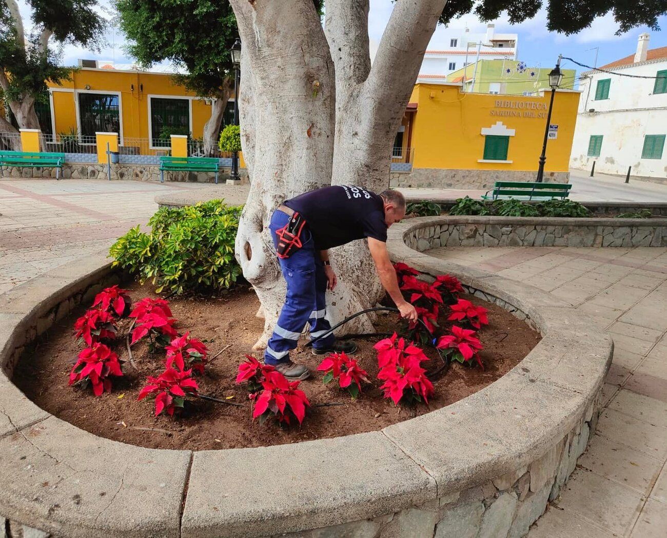 Vecindario tiene el mayor pulmón verde del Sureste
