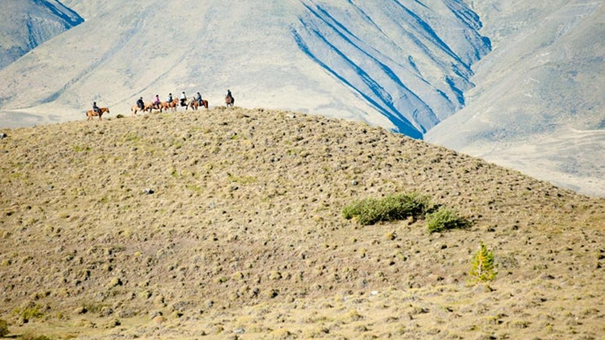 estepa patagónica