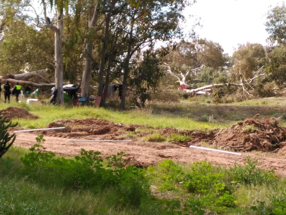 Protesta por la tala de árboles en Arraijanal