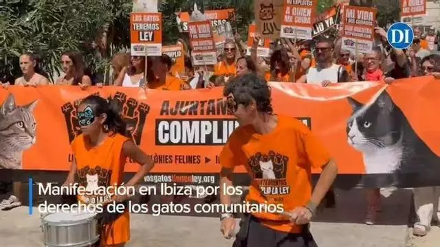 Vídeo: manifestación en Ibiza por los derechos de los gatos comunitarios