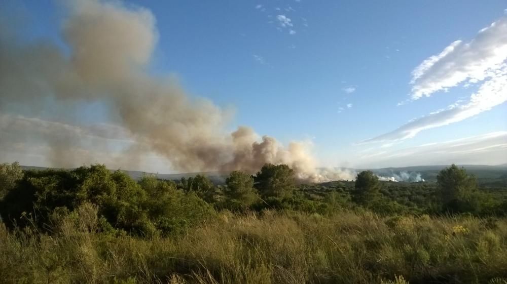 Incendio forestal en Bolbaite (Valencia)