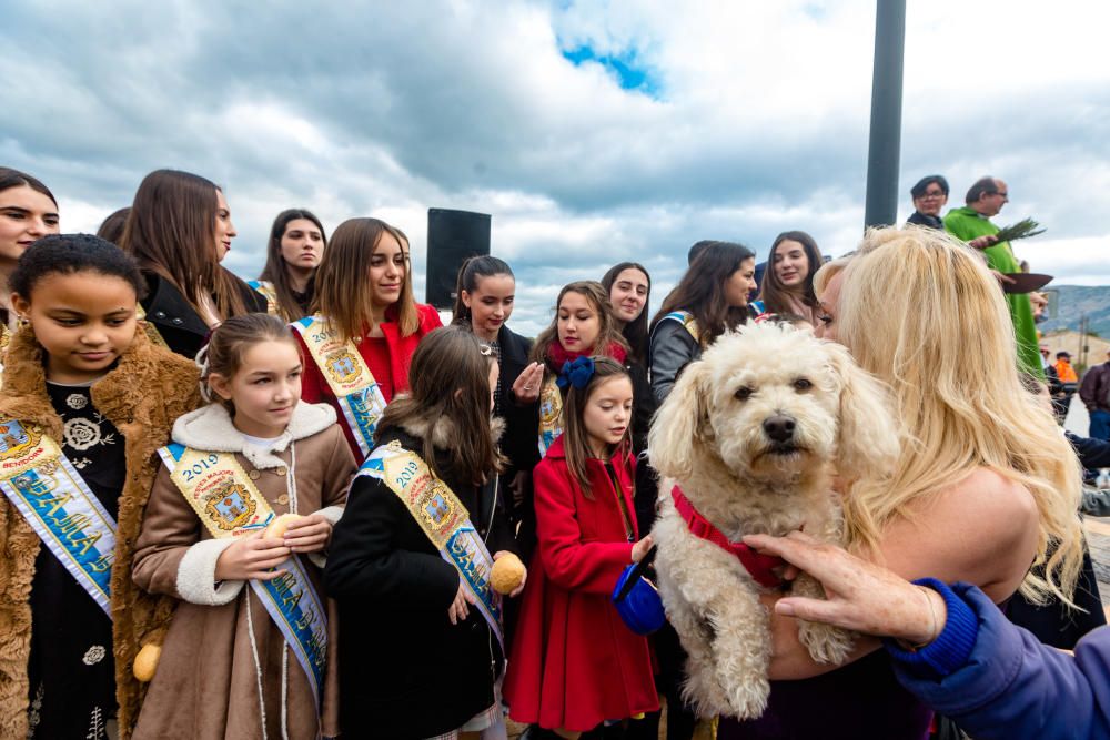 Benidorm celebra Sant Antoni