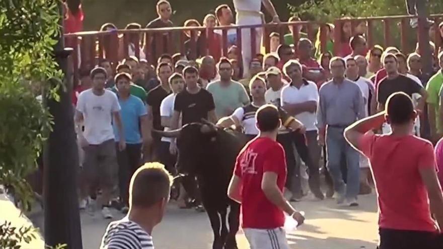 El PP de Tudela de Duero dice que las fiestas del pueblo son &quot;una puta mierda&quot;