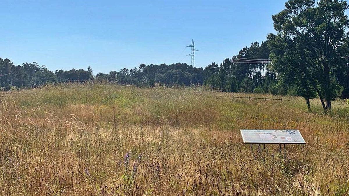 Paraje donde se localiza la Mámoa da Chousa Nova.