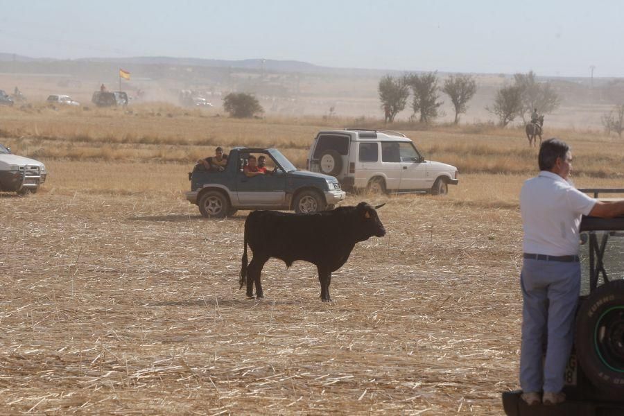 Fiestas en Zamora: Espante en Pereruela