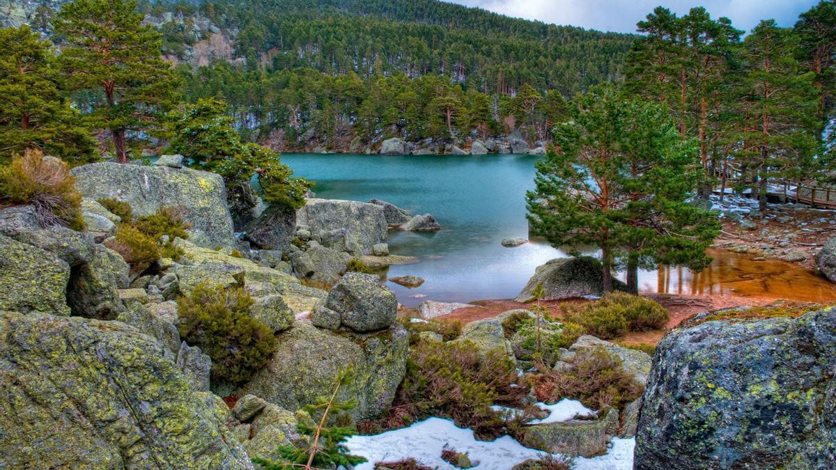 Bosques España