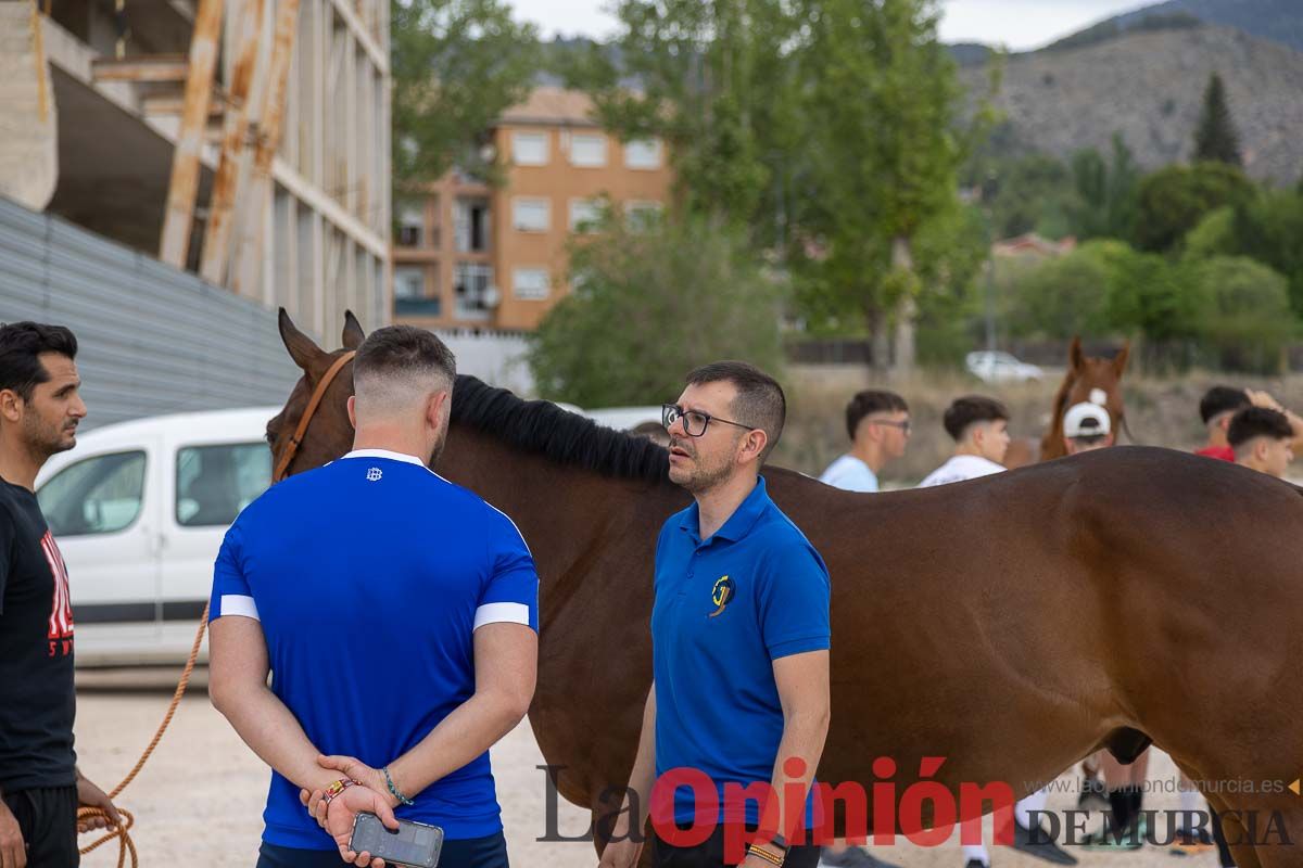 Control veterinario de los Caballos del Vino en Caravaca