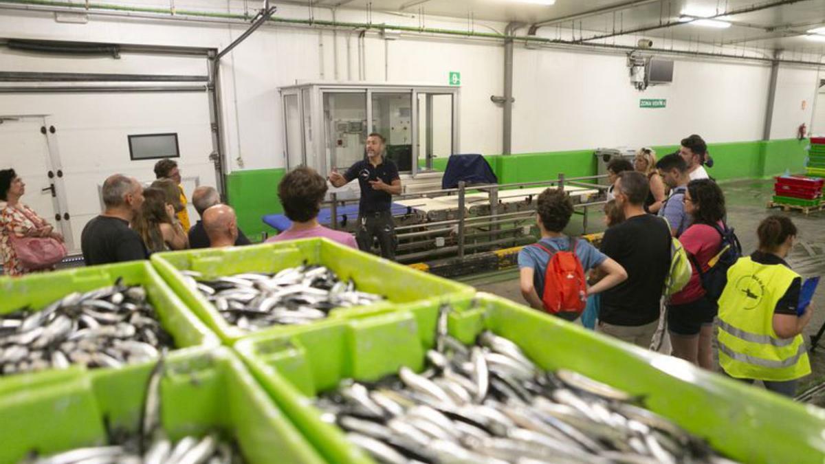 Costera de turistas en la rula de Avilés