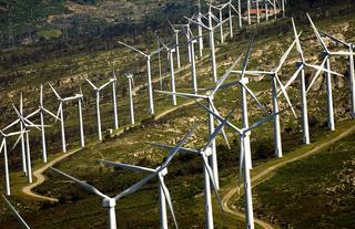 El Govern diseña una transición energética basada en pequeños productores locales