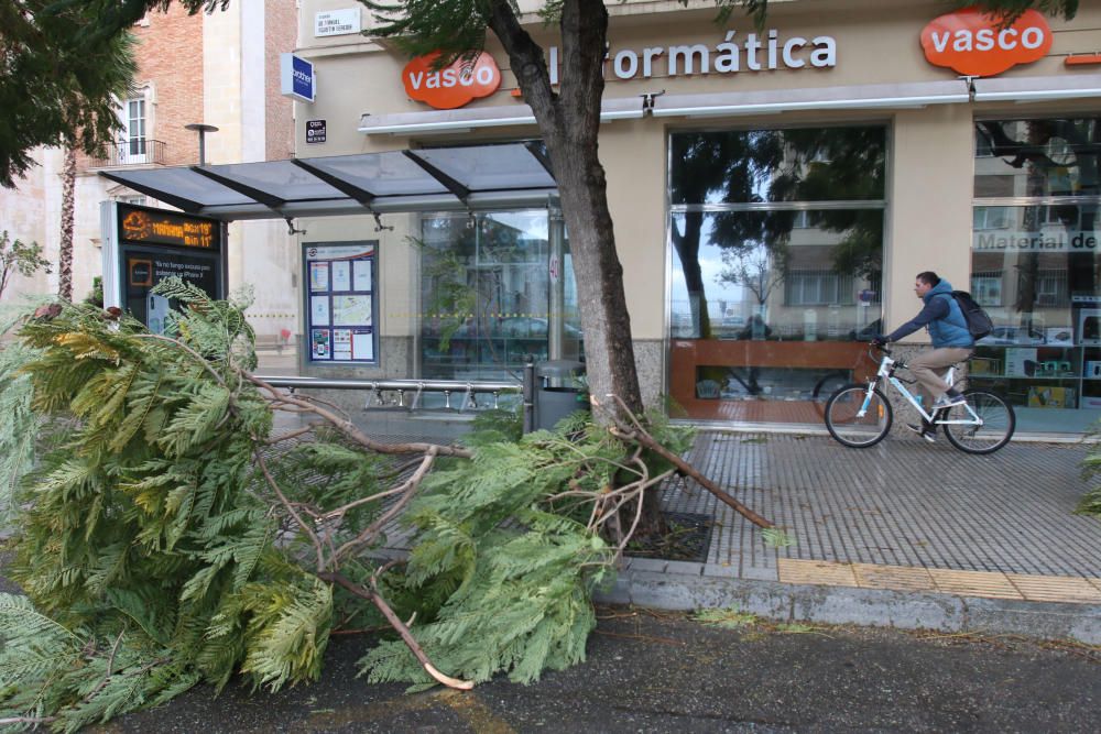 Temporal de viento y lluvia en Málaga