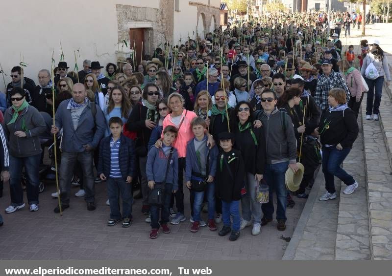 GALERÍA DE FOTOS - Romería Magdalena 2014 (4)