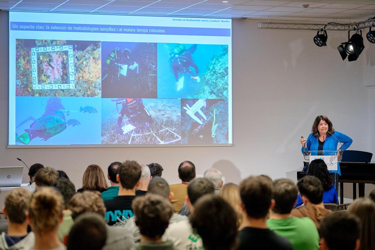 Expertos abogan por coordinar esfuerzos para la conservación de la biodiversidad marina