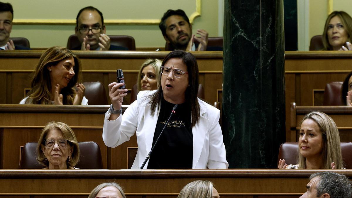 El Congreso estudia si sanciona a la diputada que sacó un espray tóxico en el hemiciclo