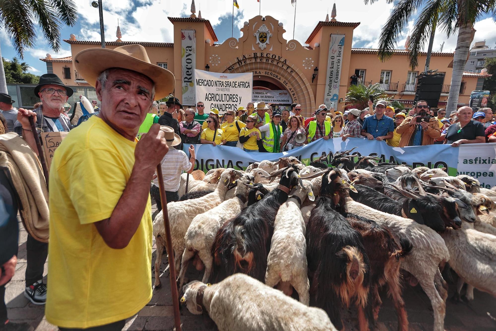 El sector agrario protesta en las calles de Santa Cruz