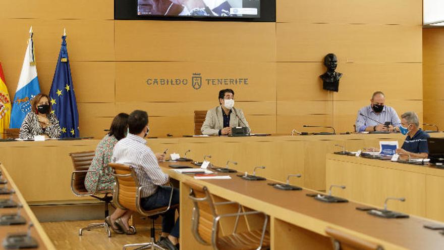 Imagen de la reunión que presidió ayer Pedro Martín en la sede insular