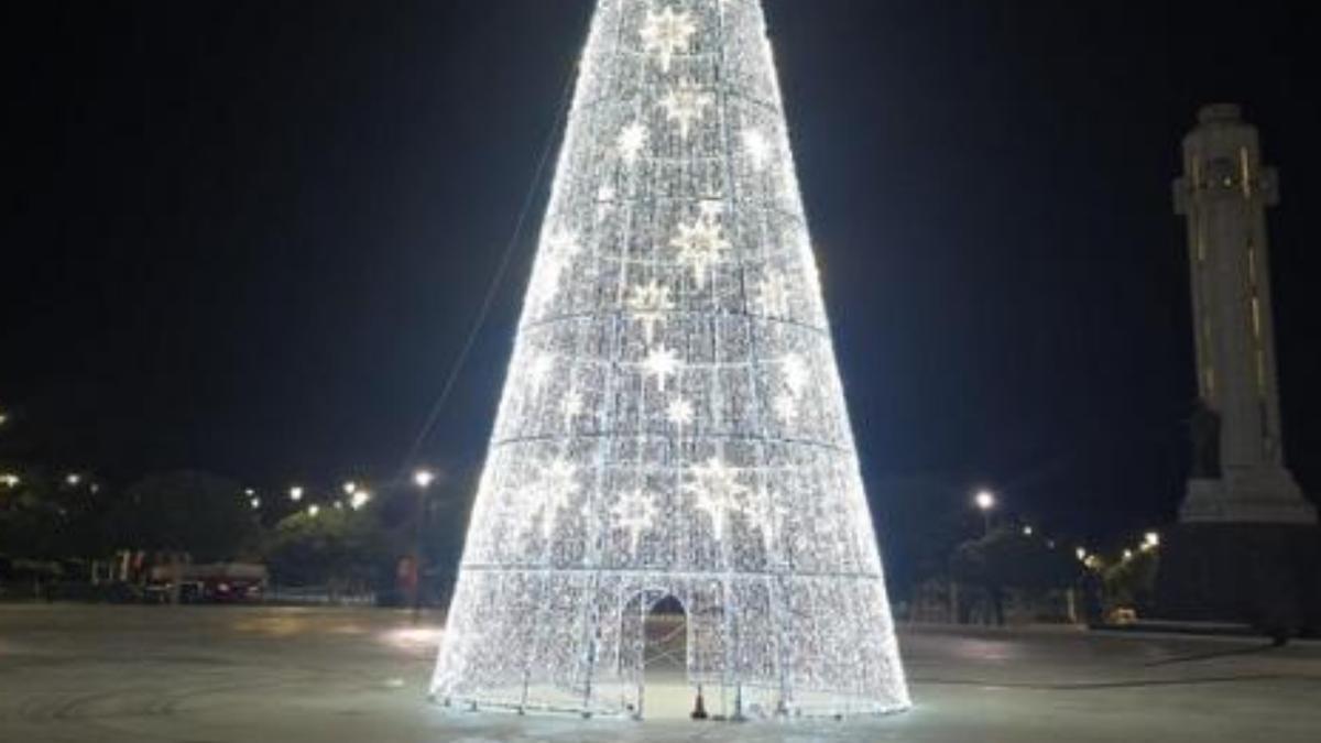 Pruebas de iluminación en el gran árbol de Navidad de Santa Cruz.