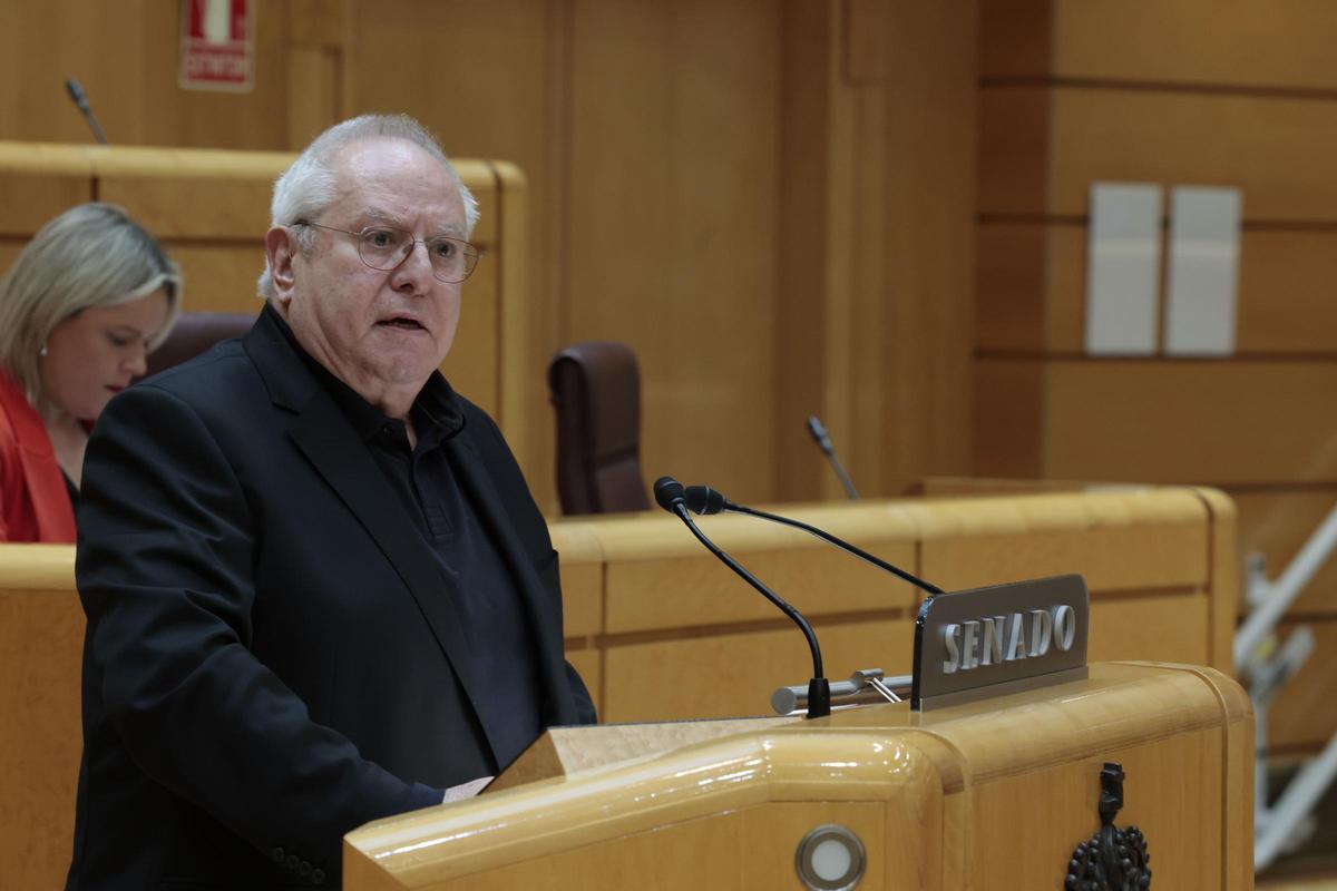 El senador de ERC Joan Josep Queralt, durante una intervención en el pleno del Senado.
