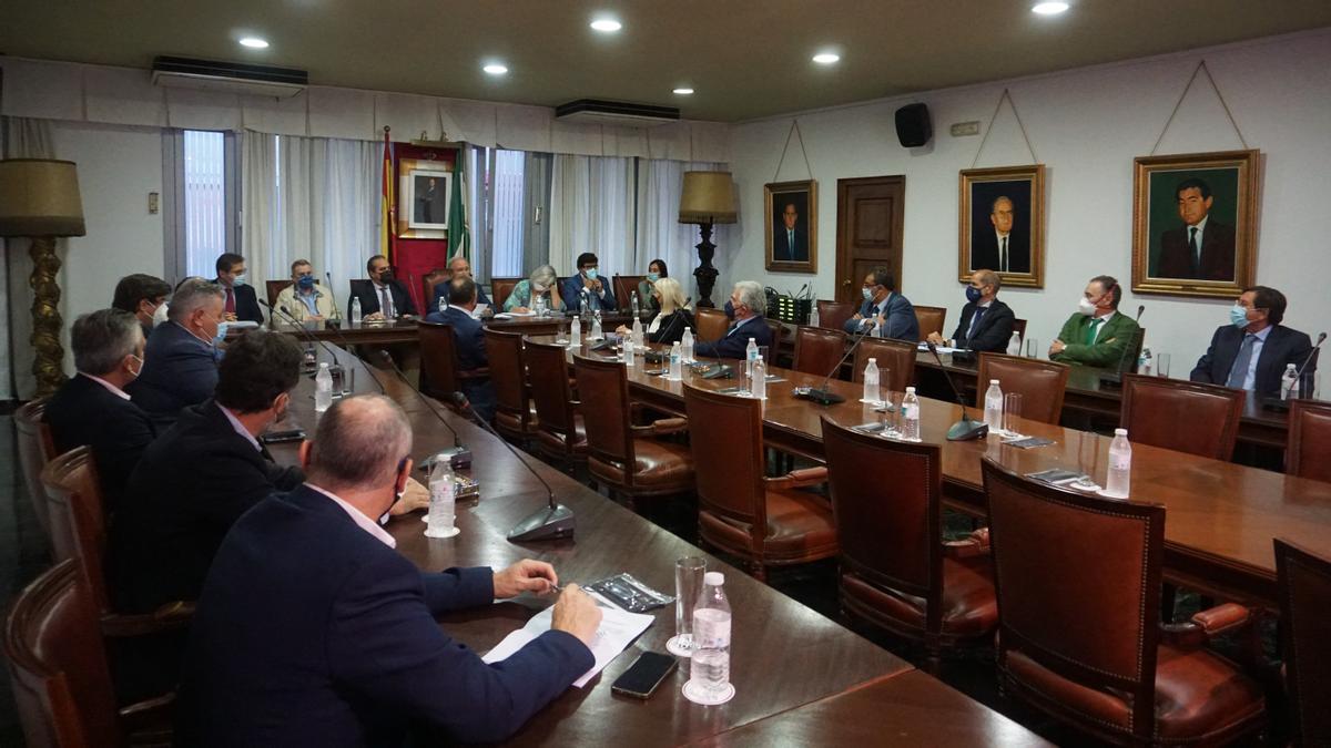 Pleno de la Cámara de Comercio de Córdoba reunido esta semana.