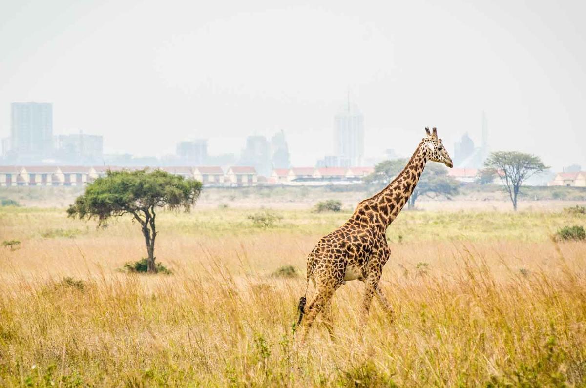 Nairobi , Kenia
