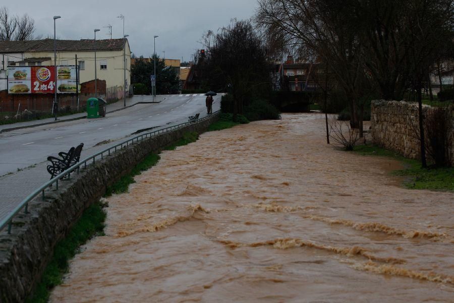 Inundaciones de enero 2016 en Zamora