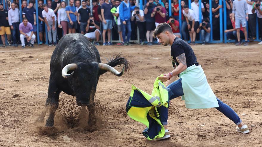 Vuelve el Mig Any Fester a Almassora: fecha y programa de actos taurinos