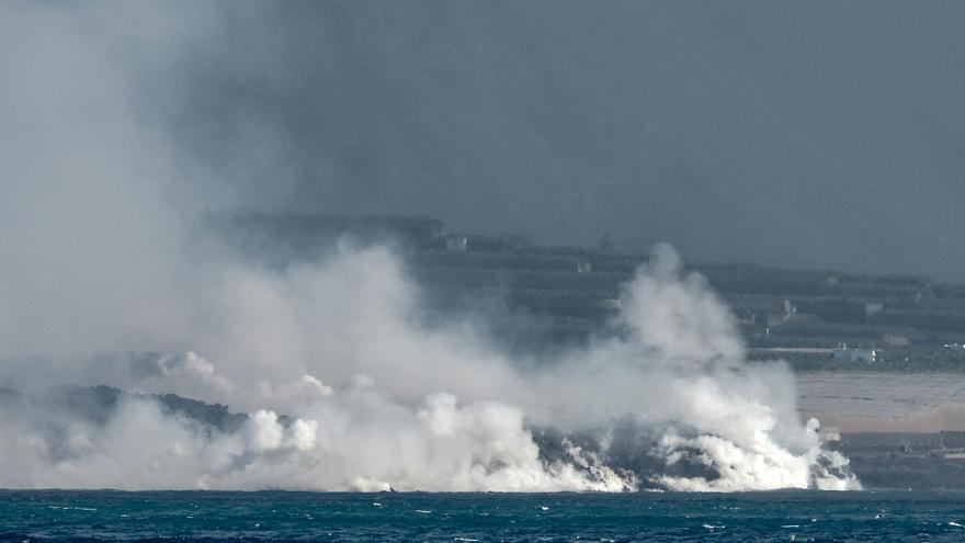 La vida rebrota en la fajana creada en Tazacorte por el volcán de La Palma