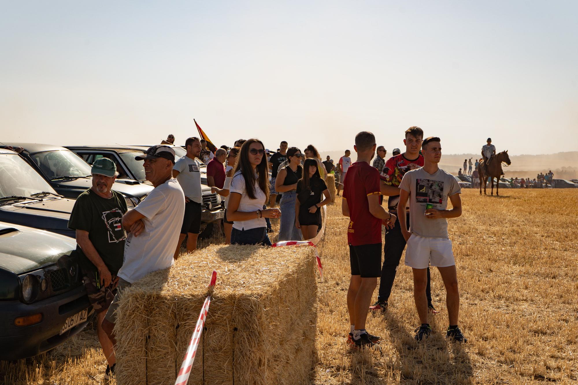 Encierro Campero en Moraleja del Vino 2022