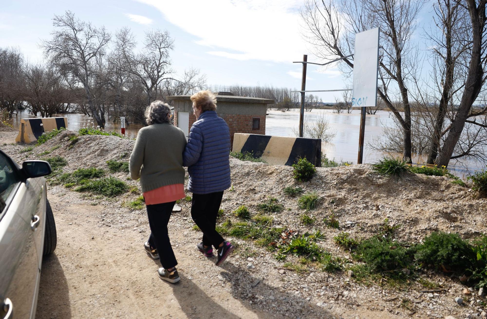 En imágenes | Así transcurre la crecida del Ebro a su paso por Aragón