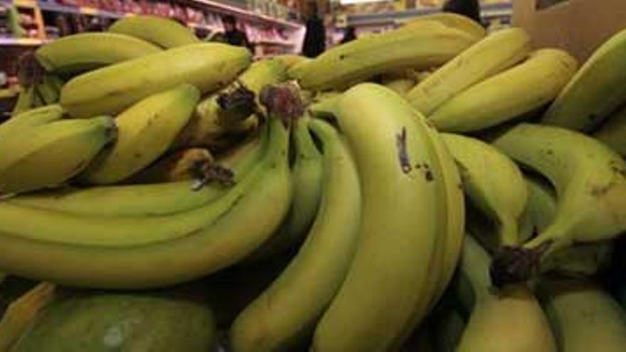 La cocaína oculta entre plátanos estaba empaquetada bajo la fruta