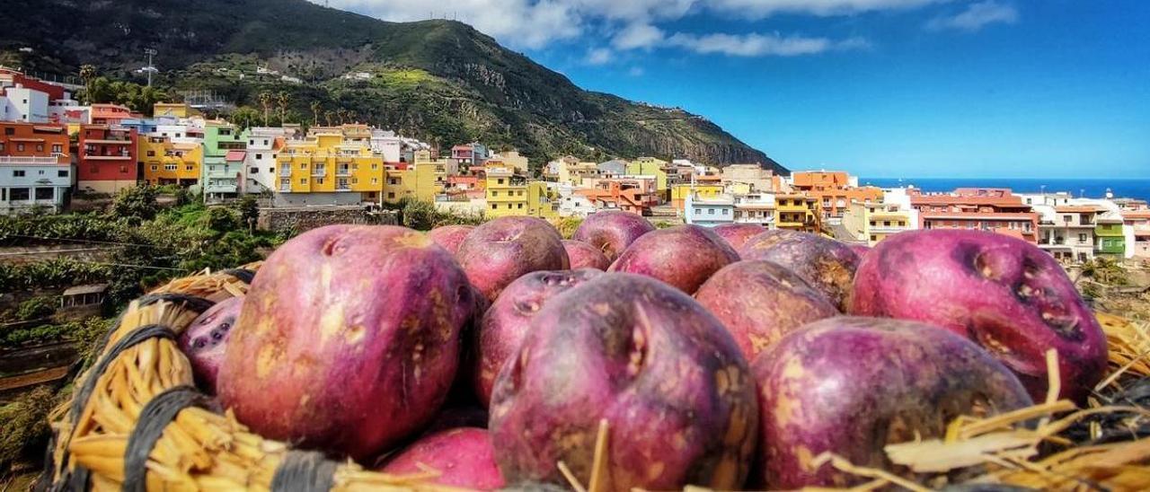 Detalle de un cesto con papas bonitas en Los Realejos