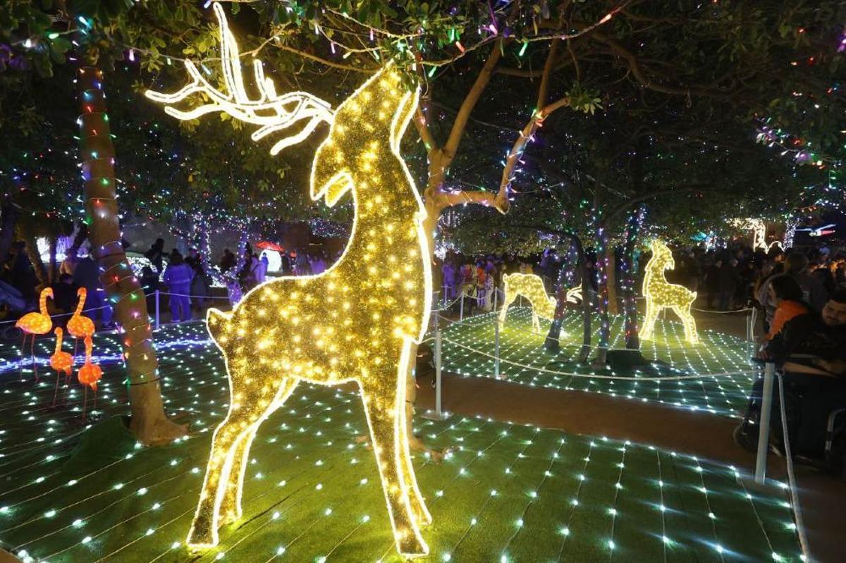 Imagen del Bosque Encantado de Gavà