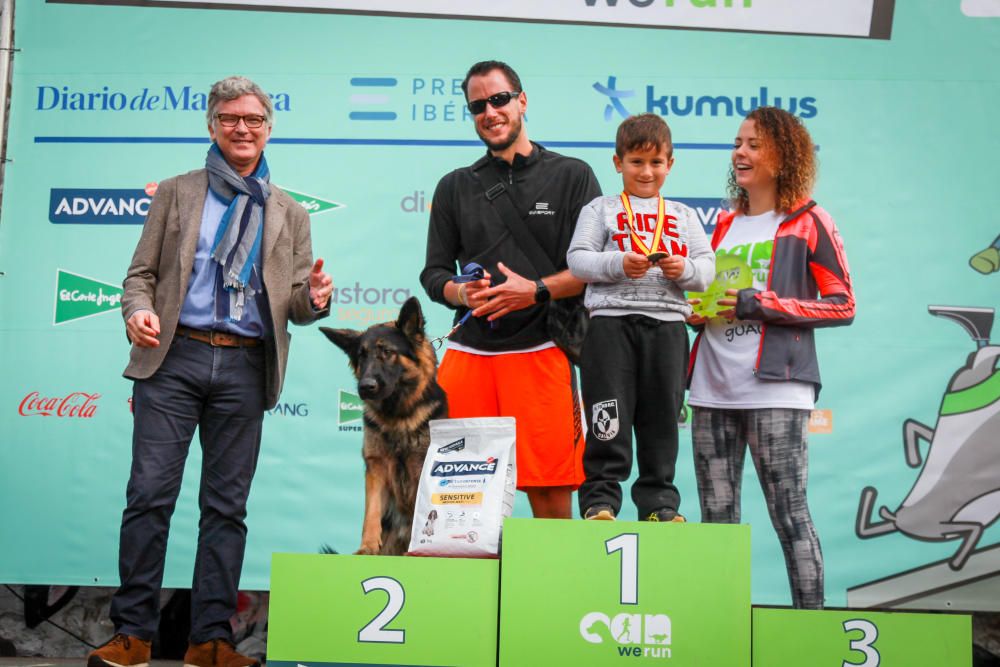 Can We Run Mallorca: So war das Hunderennen