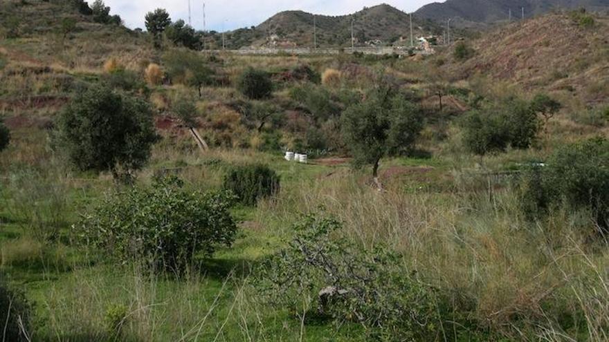 Parque periurbano de Las Virreinas.