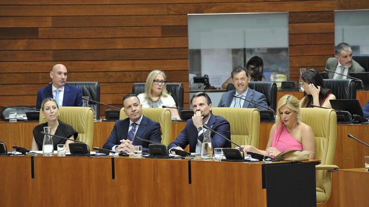 Pleno en la Asamblea de Extremadura.