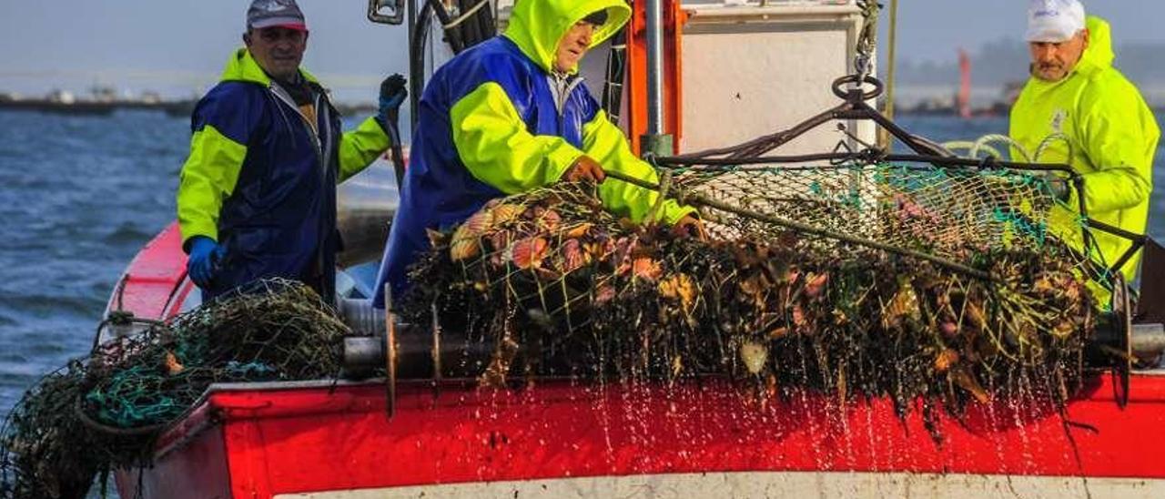 Un barco recoge un lance, el pasado martes en aguas de la ría. // Iñaki Abella