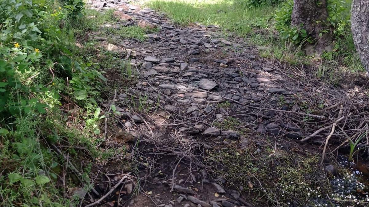 La sequía agota el río Aliste y de sus 27 afluentes solamente sobrevive el Frío