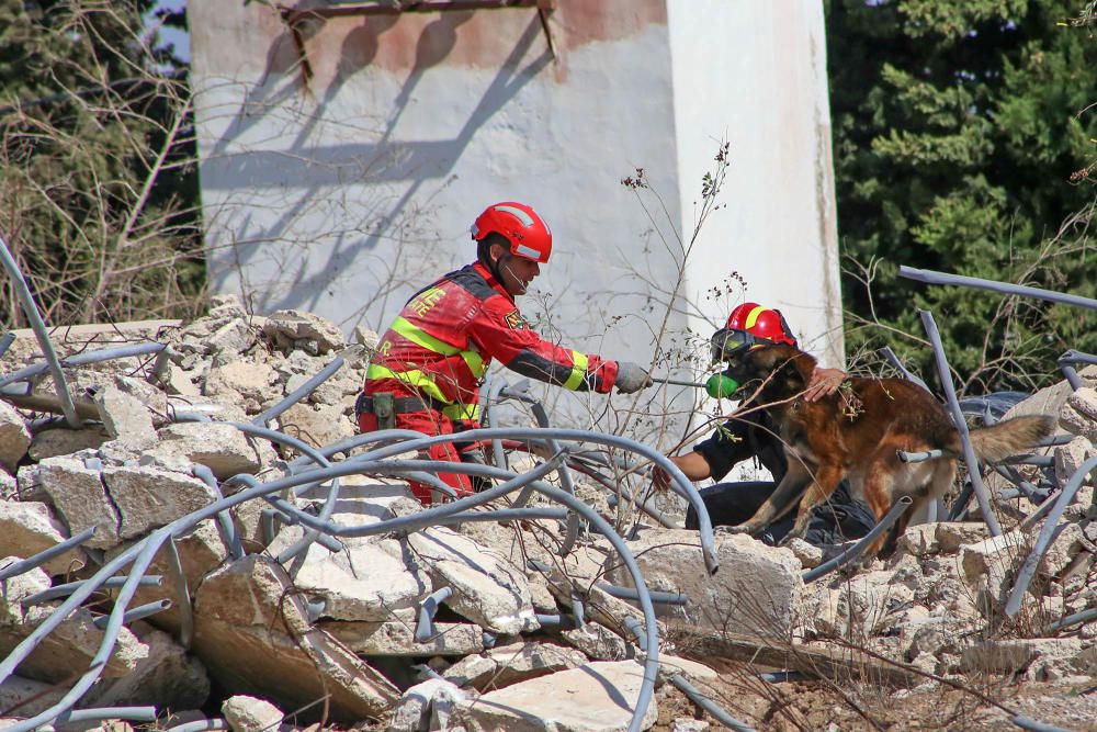 Los efectivos han realizado el simulacro en tres municipios de la Vega Baja