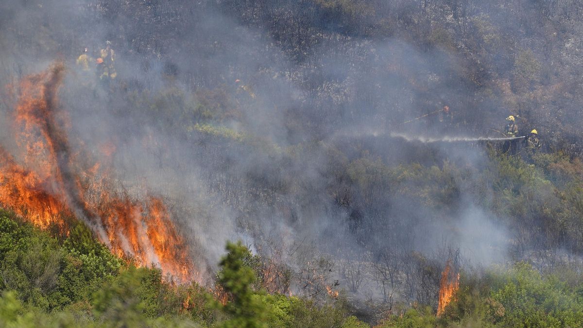 Les flames de l'incendi que es va produir divendres passat.