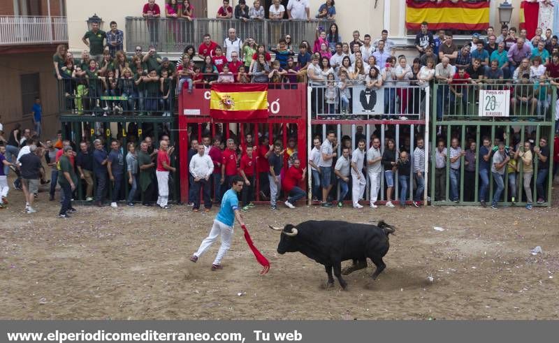 GALERÍA DE FOTOS -- Almassora se vuelca con las fiestas del Roser