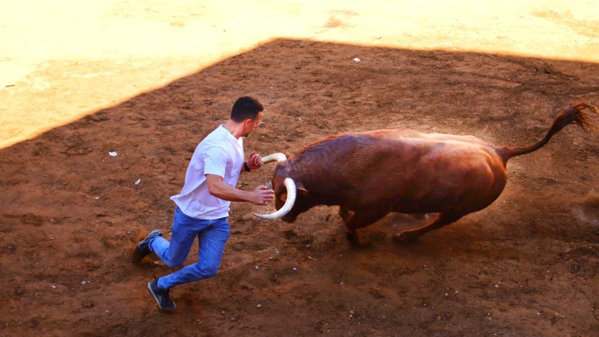 Vídeo: Ambiente y momentos de la doble exhibición taurina del miércoles de fiestas en Almassora