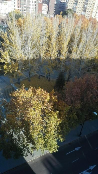 Fotos de los lectores sobre las heladas en Zamora