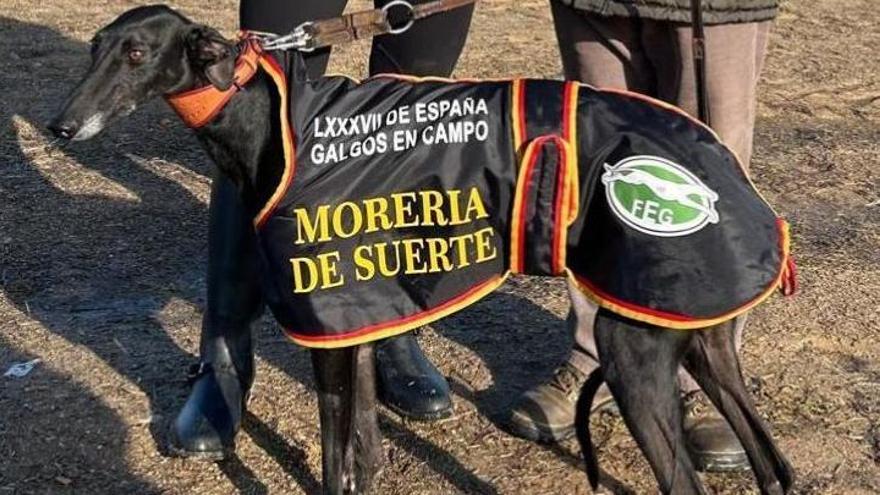 Morería de la Suerte, vigente campeona de España