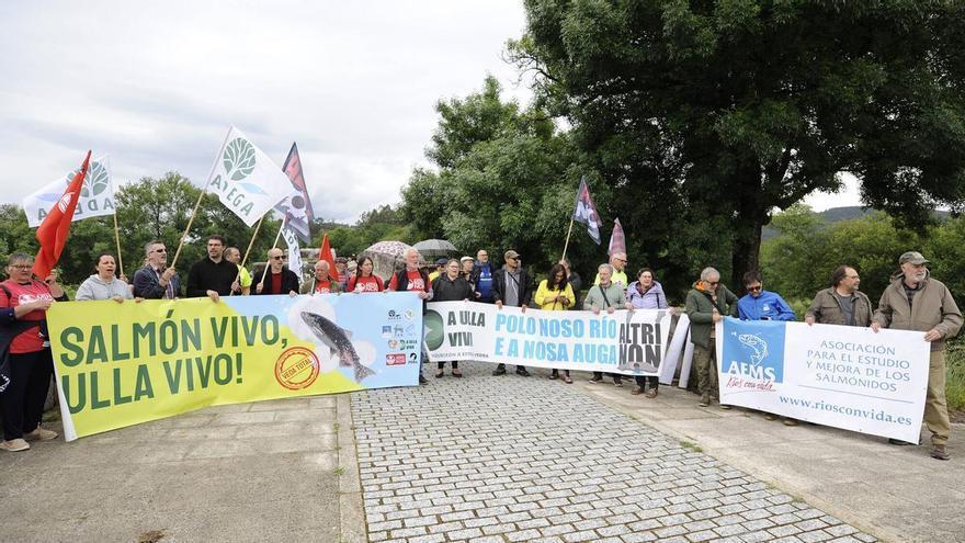 Ecologistas reclaman la suspensión de la pesca del salmón en el Ulla ante su declive del 80%