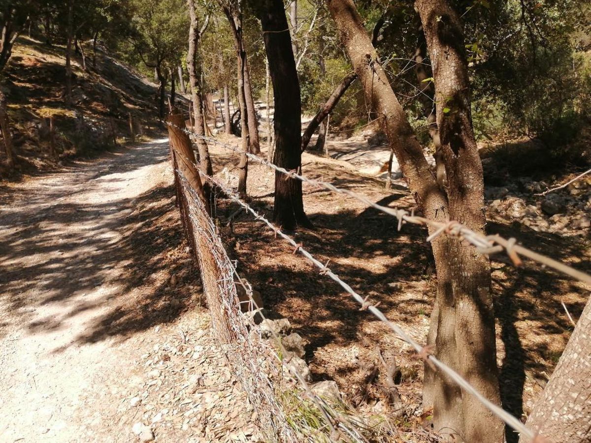 Una alambrada con púas separa el torrente del camino público.