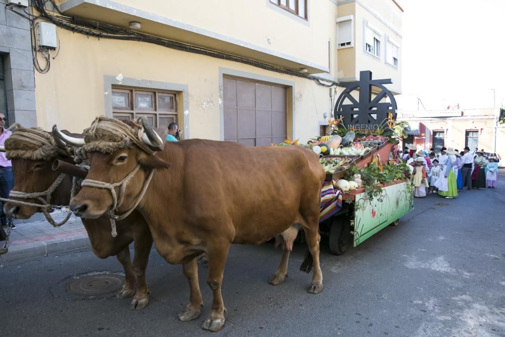 ROMERÍA  CARRIZAL INGENIO