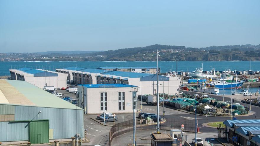 El Supremo da vía libre al Concello de A Coruña para luchar contra la planta de tratamiento de aceites del muelle de Oza