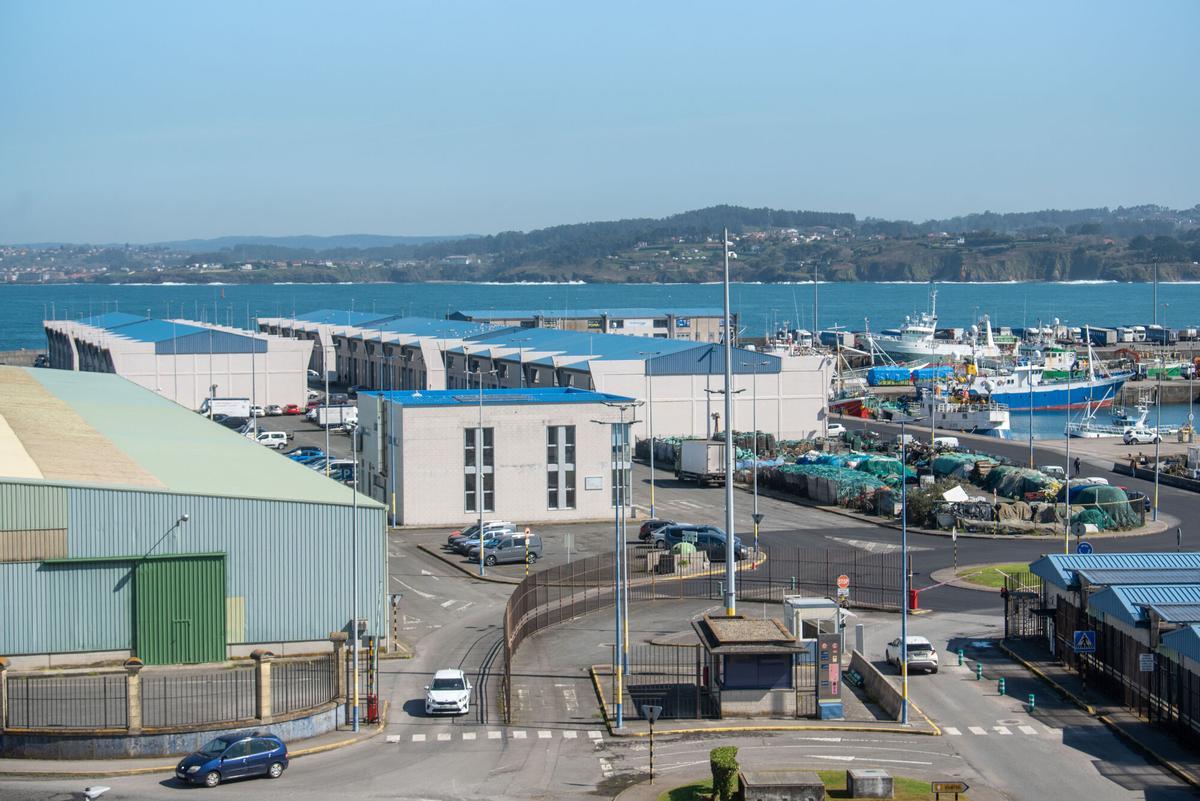 Instalaciones empresariales en el muelle de Oza.