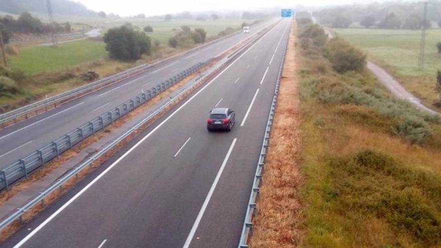 Susto en la autovía por dos perros abandonados